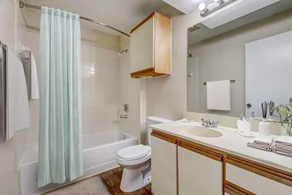 Bathroom with large vanity, toilet, and shower